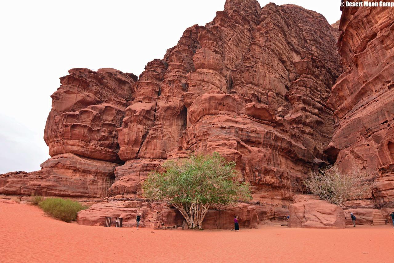 Desert Moon Camp Wadi Rum Exterior photo